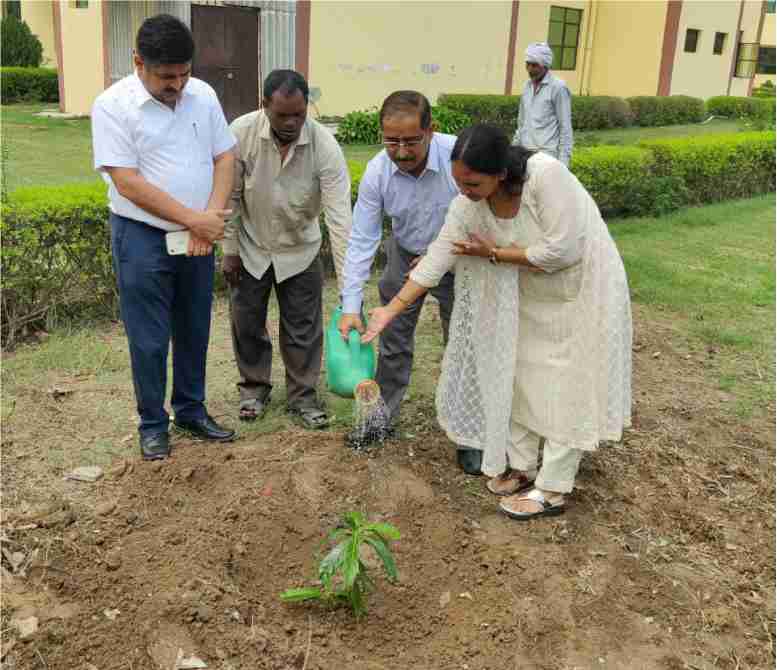 Plantation of Rudraksha sapling on his special day by Secretary Sir