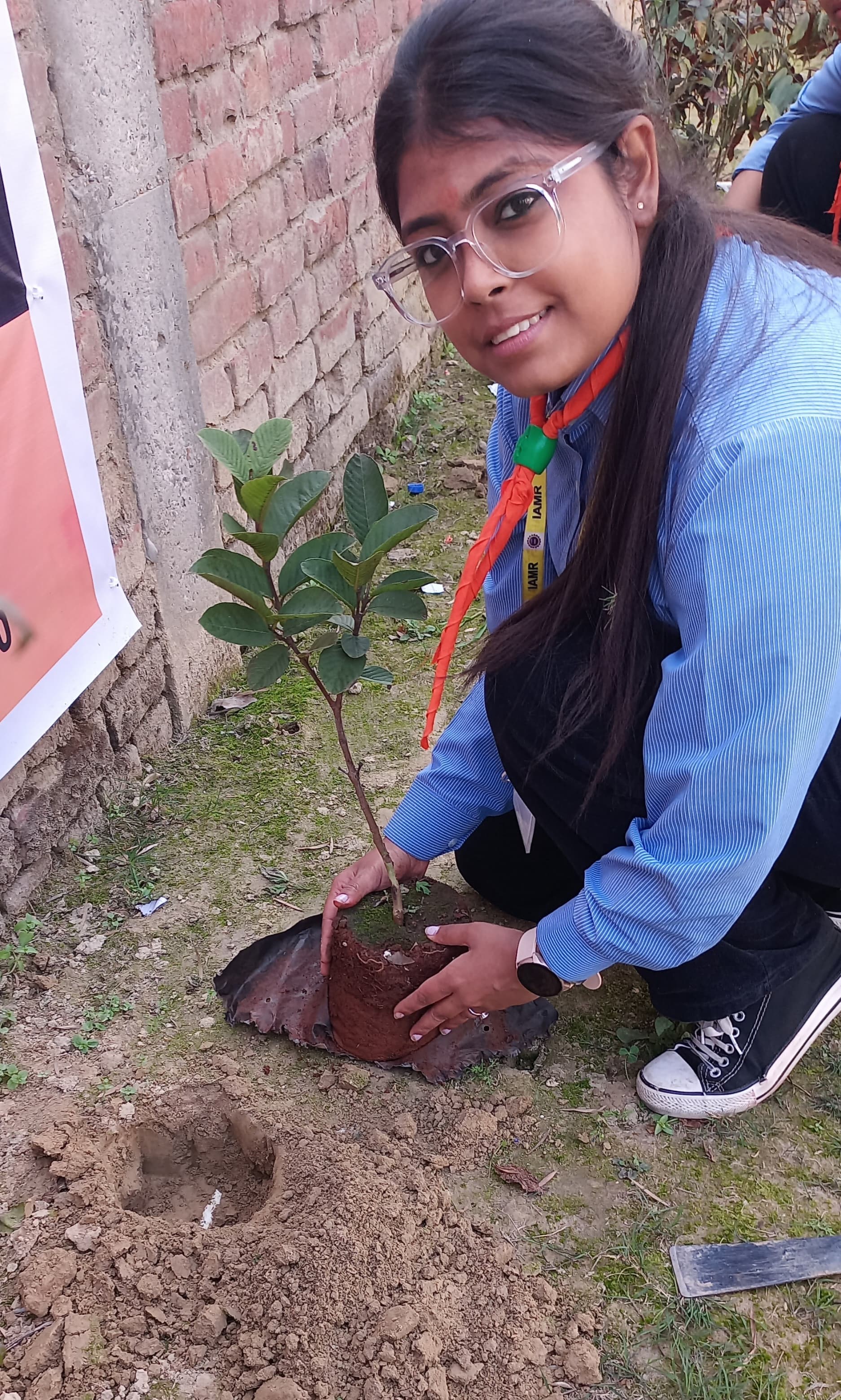 Plantation Activity