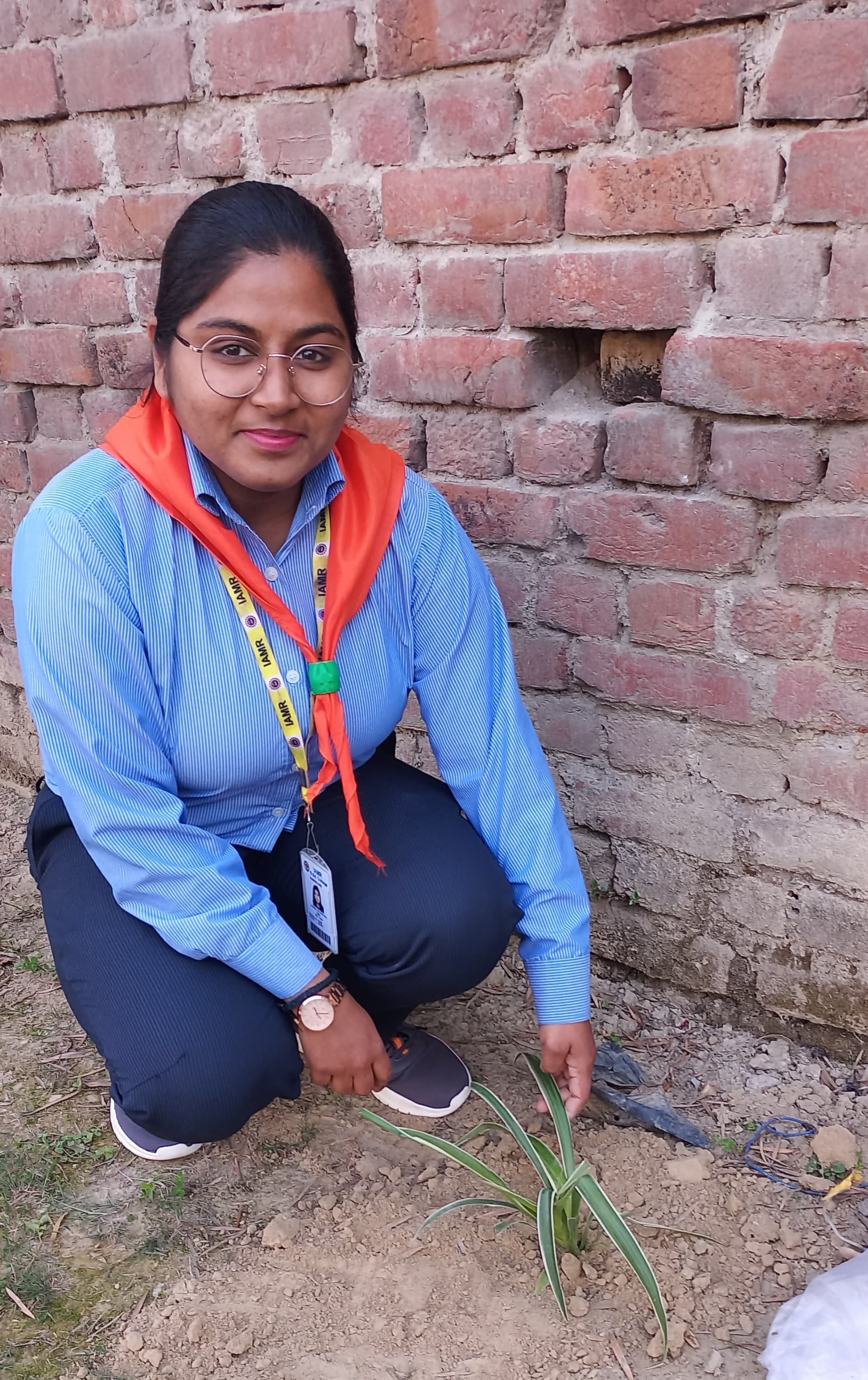 Plantation Activity
