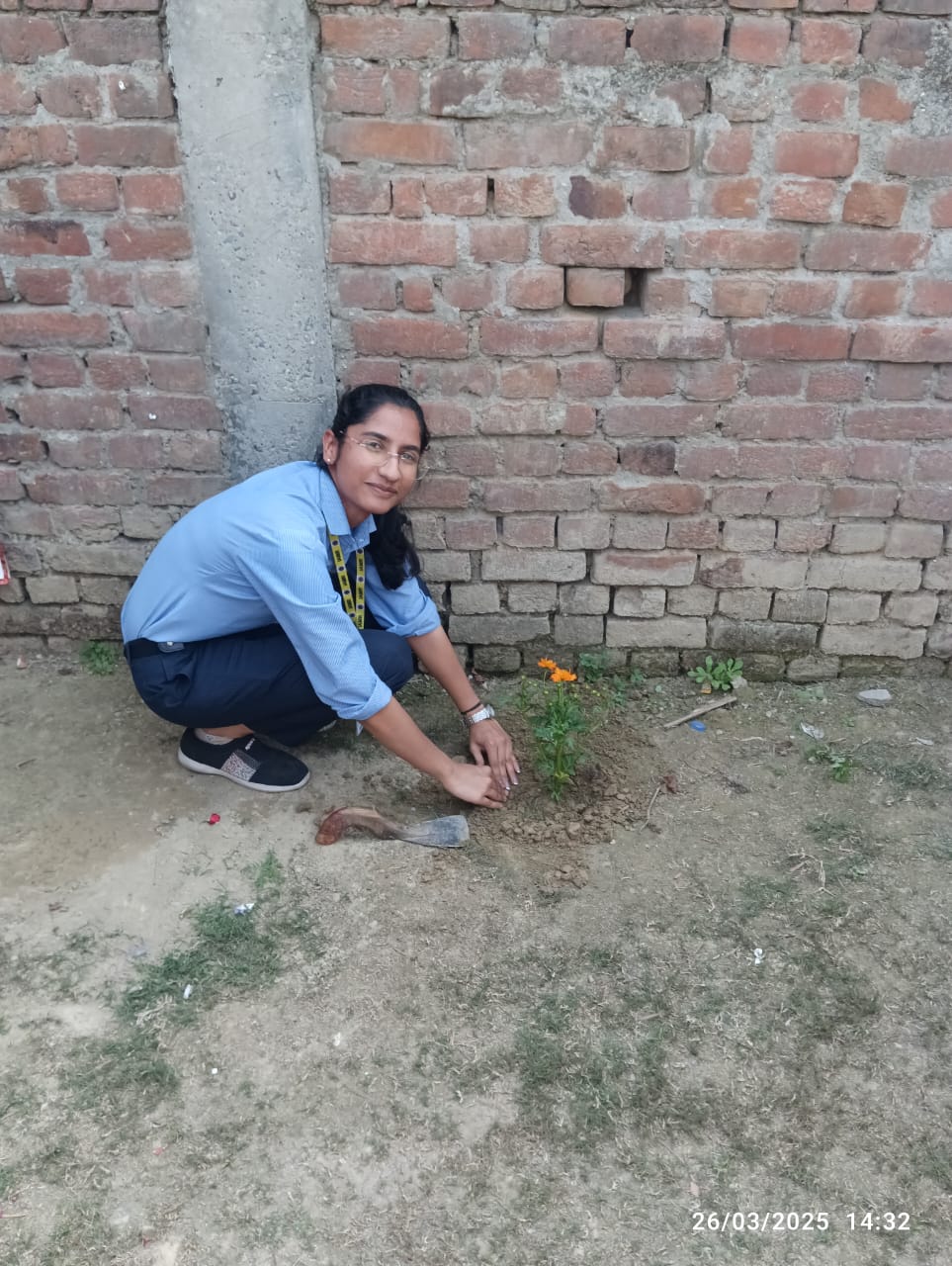 Plantation Activity