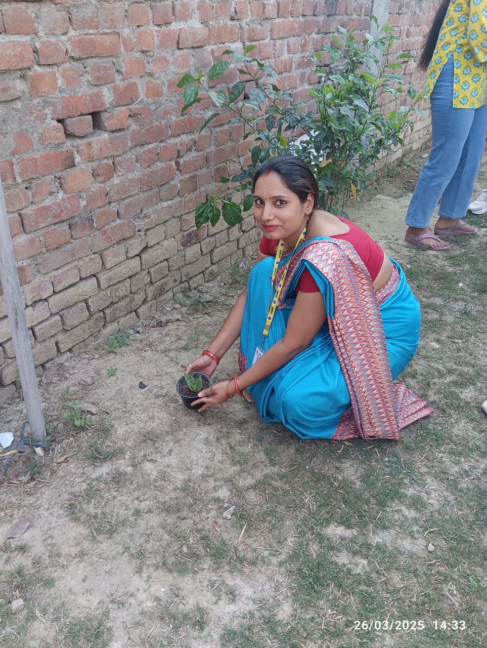 Plantation Activity