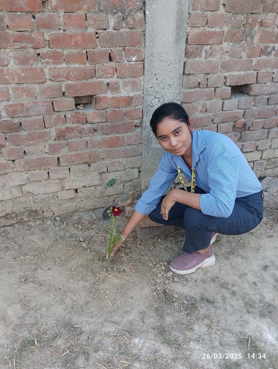 Plantation Activity